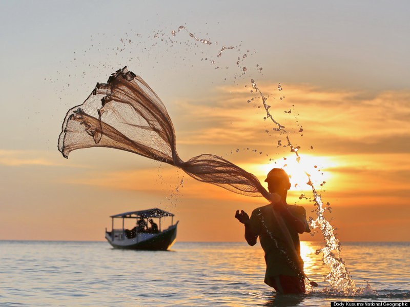 Illustration for article titled Las espectaculares fotos ganadoras del concurso NatGeo 2013
